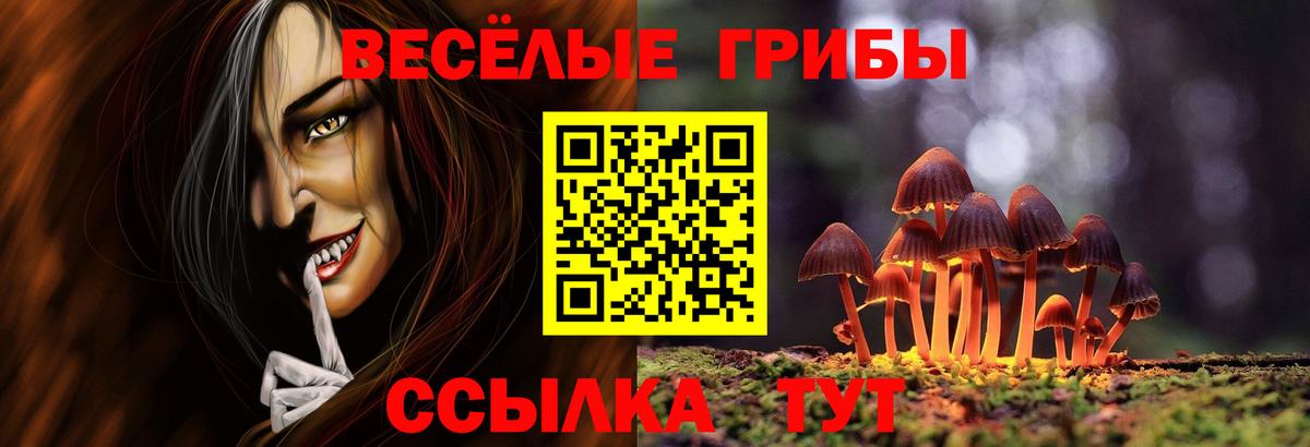 Реж  Псилоцибиновые грибы Psilocybine cubensis  Вход с VPN 